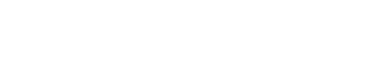 Hitech Wolf