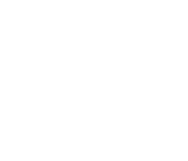 Hitech Wolf